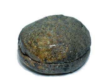 伊賀焼【販売】香合